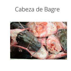 Cabeza de Bagre